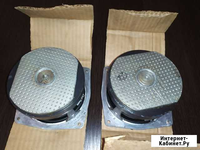 Динамики 25 гдн Омск - изображение 1