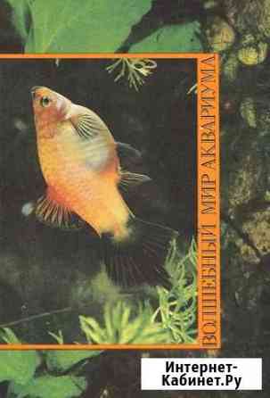 Волшебный мир аквариума Воронеж