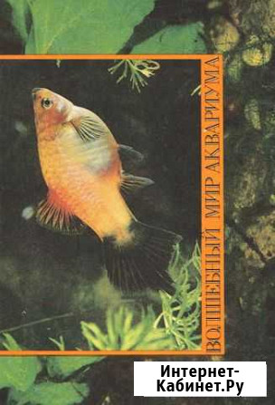 Волшебный мир аквариума Воронеж - изображение 1