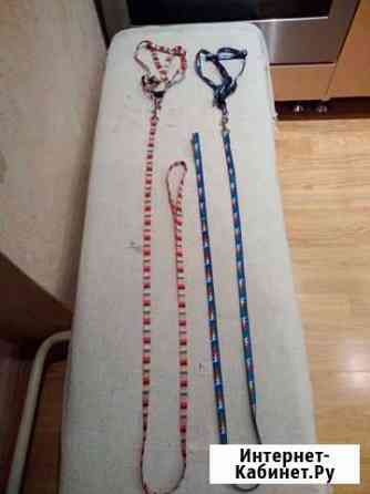 Шлейки с поводком для кошек и собак Екатеринбург