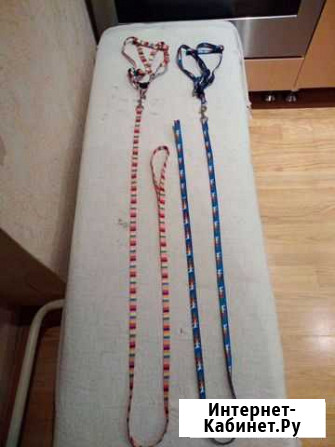 Шлейки с поводком для кошек и собак Екатеринбург - изображение 1