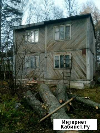Спил деревьев Петрозаводск - изображение 1