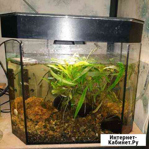 Аквариум Казань