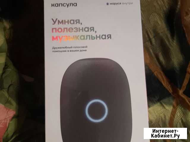 Умная музыкальная колонка Домодедово - изображение 1