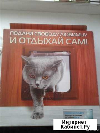 Дверь для кошек Озерск - изображение 1