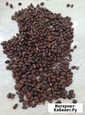 Кедровый орех Тюмень