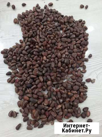 Кедровый орех Тюмень - изображение 1