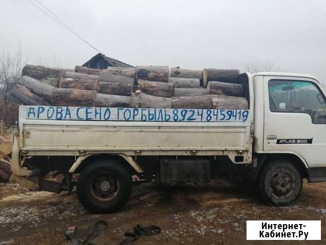 Продам Дрова Свободный - изображение 1