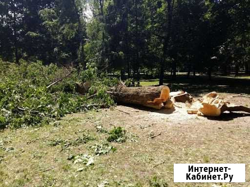 Повал деревьев Рощино - изображение 1