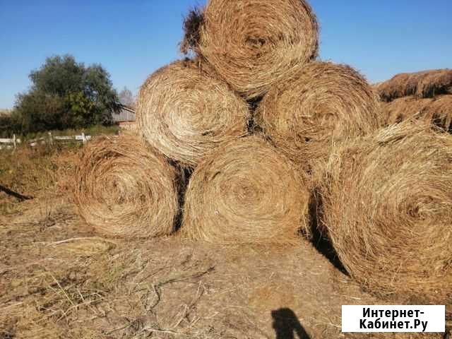 Продам сено Бийск - изображение 1