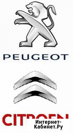 Ремонт автомобилей Peugeot Citroen Белгород - изображение 1