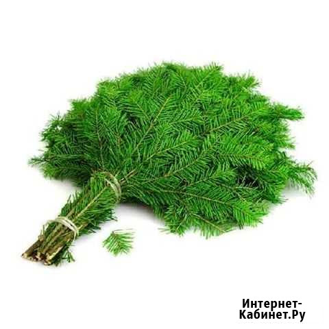 Пихтовые веники Юрга - изображение 1