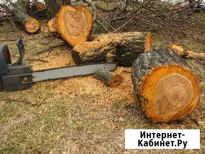 Спил деревьев, расчистка участков, демонтаж Валуйки - изображение 1