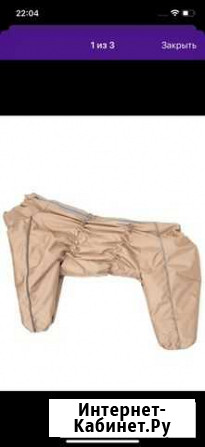 Комбинезон для суки Киров - изображение 1