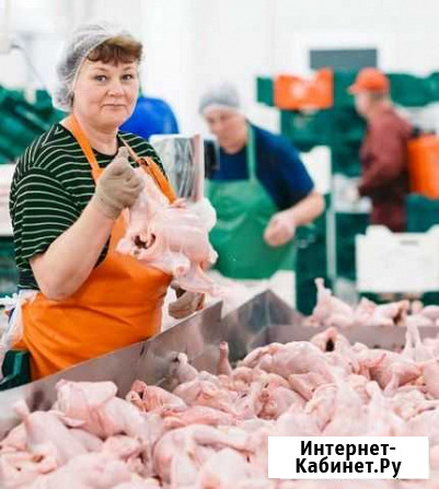 Упаковщица(к) вахта с питанием и проживанием Крым Саки - изображение 1