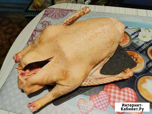 Мясо гуся Шумерля - изображение 1