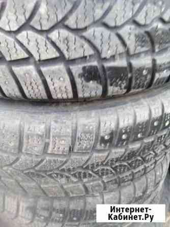 Tigar 195/65 R15 Курган