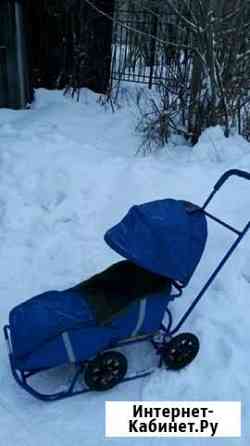 Санки Архангельск