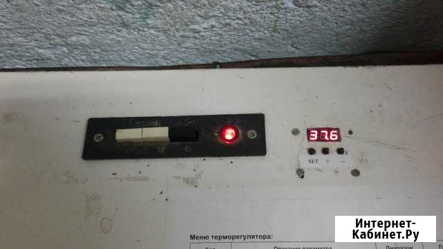 Инкубатор Ипх-10 петушок Пятигорск - изображение 1