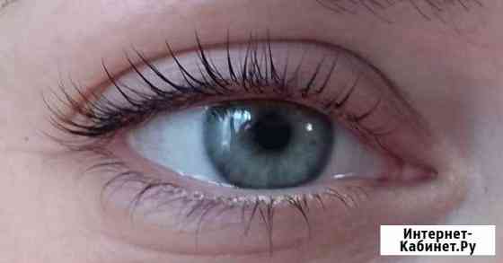 Ламинирование ресниц. LVL lashes Санкт-Петербург