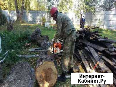 Спил деревьев, расчистка участков, демонтаж Чернянка - изображение 1