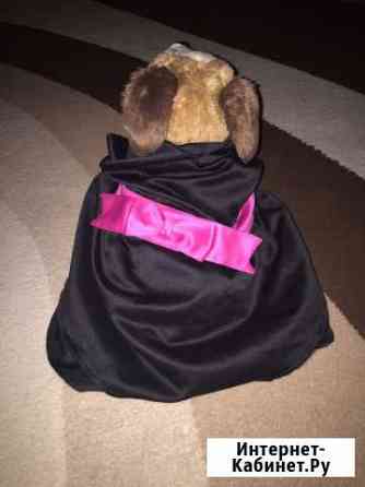 Платье на среднюю собачку Тула