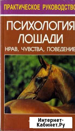 Зоопсихология / Психология лошади Чебоксары - изображение 1