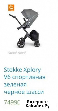 Коляска Благовещенск - изображение 1