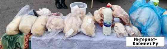 Домашнее мясо птицы, молоко козье, яйцо Ижевск