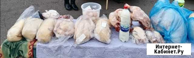 Домашнее мясо птицы, молоко козье, яйцо Ижевск - изображение 1