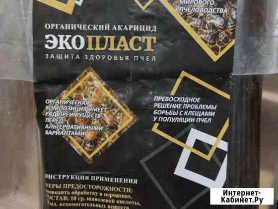 Полоски для лечения пчел Махачкала