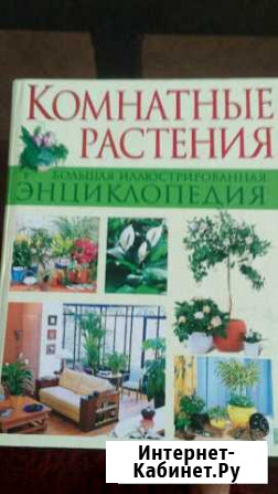 Энциклопедия растений Петропавловск-Камчатский - изображение 1
