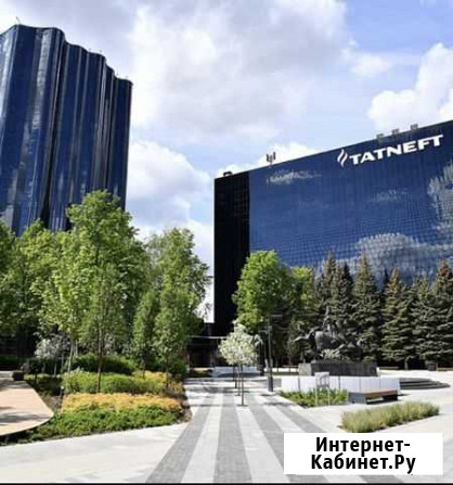 Свой человек в Альметьевске Альметьевск - изображение 1