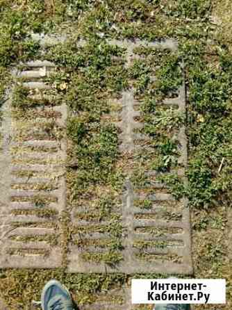 Решетка Щелевая крс чугунная Тамбов