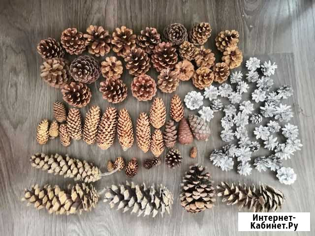 Веточки ели, пихты, шишки для декора новогоднего Азов - изображение 1