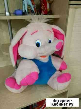 Слон большой Мурманск