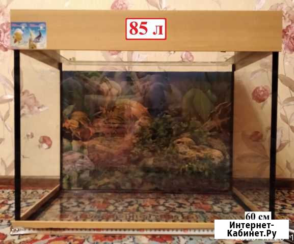 Аквариум Мыски - изображение 1