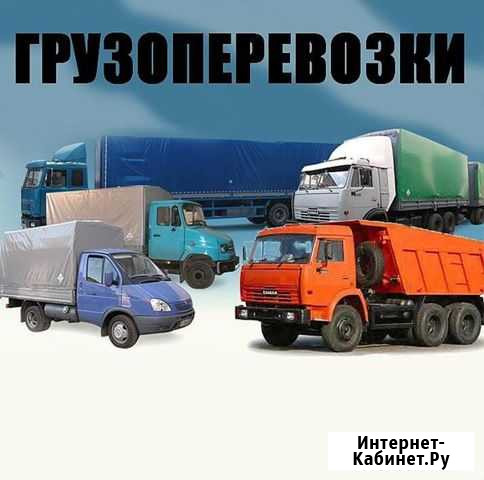 Водитель со своим грузовым автомобилем Невинномысск - изображение 1