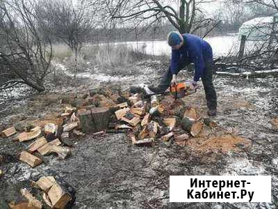 Спил деревьев, расчистка участков, демонтаж Прохоровка - изображение 1