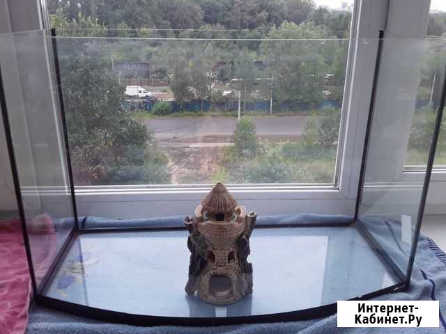 Аквариум Ярославль - изображение 1