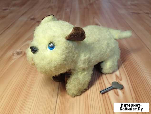 Заводная собачка времён СССР Ульяновск - изображение 1