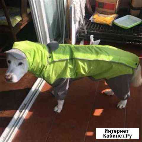 Дождевик для собак Архангельск