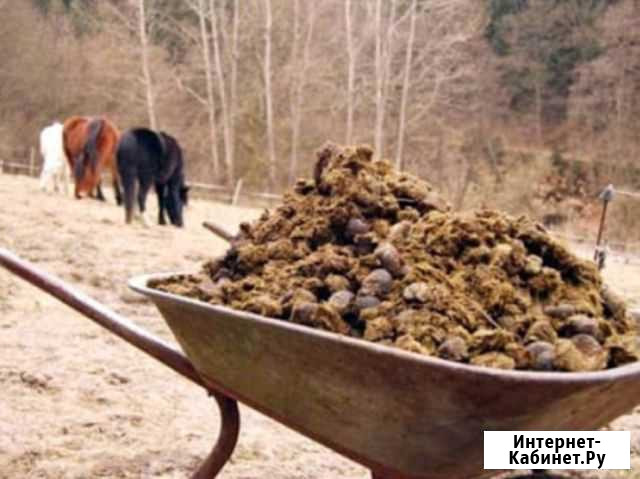 Конский навоз Сыктывкар - изображение 1