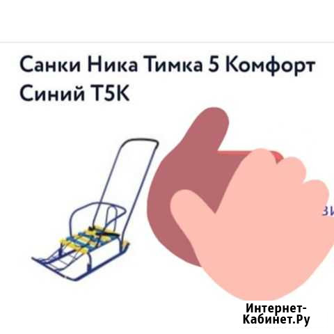 Санки Петропавловск-Камчатский - изображение 1