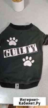 Одежда для маленьких собак, футболка Киров