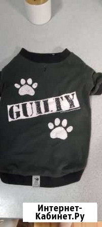 Одежда для маленьких собак, футболка Киров - изображение 1