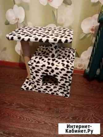 Когтеточка с домиком Благовещенск