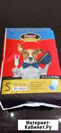 Впитывающей пояс для кобелей Киров