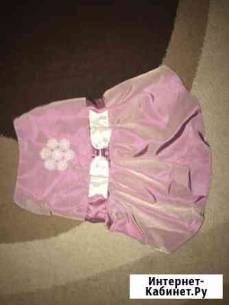 Продам платье для собаки Тула