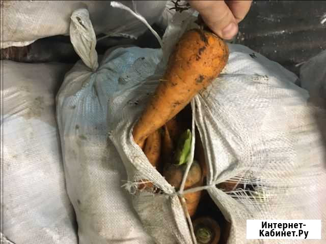 Овощи оптом Дзержинск - изображение 1